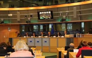 Президентът на ПЕС Сергей Станишев по време на семинар на Групата на социалистите и демократите в Европейския парламент